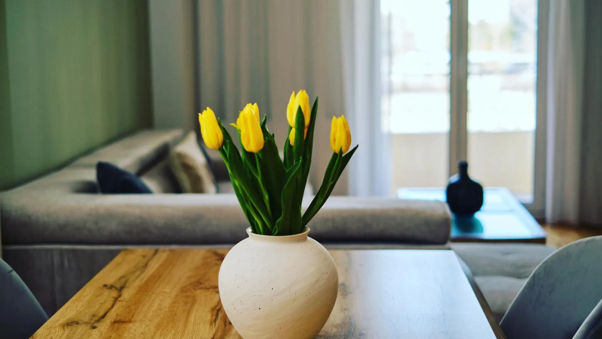 “The Elysian” City Center Apartment Salonic